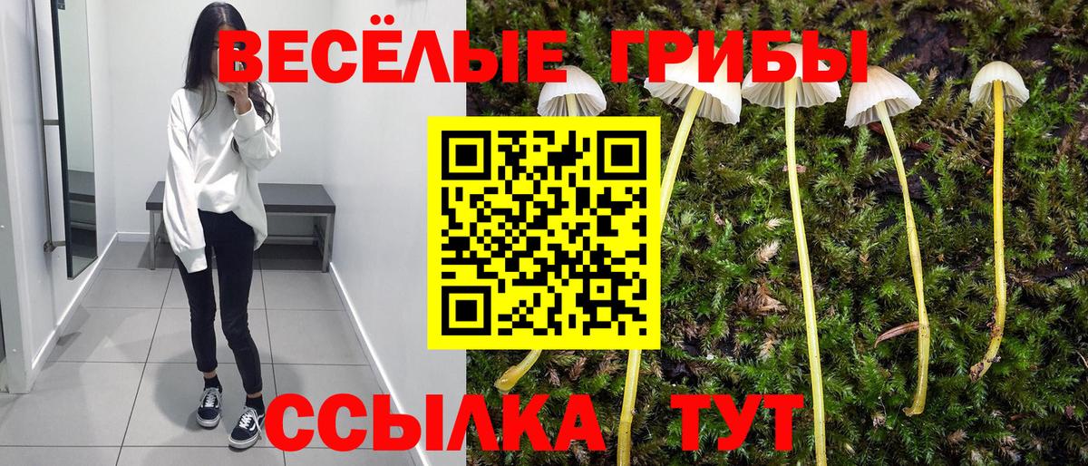 Галлюциногенные грибы Cubensis Севастополь